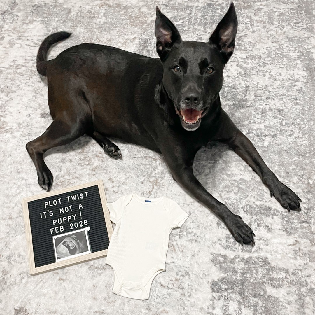 Photo shared by Destiny for their Babylist baby registry.