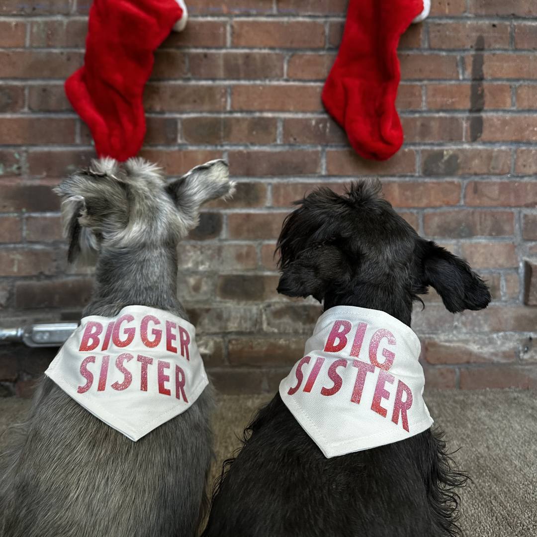 Photo shared by Christian for their Babylist baby registry.