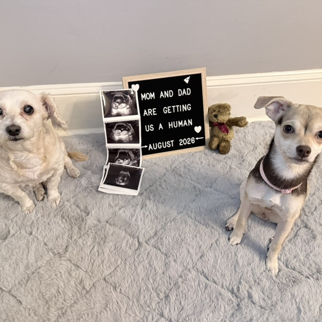 Photo shared by Tabby for their Babylist baby registry.