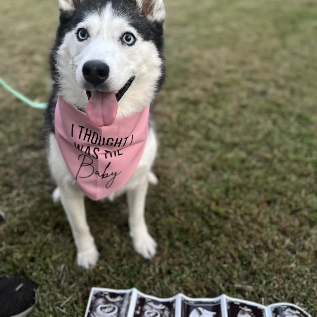 Photo shared by Brittany for their Babylist baby registry.