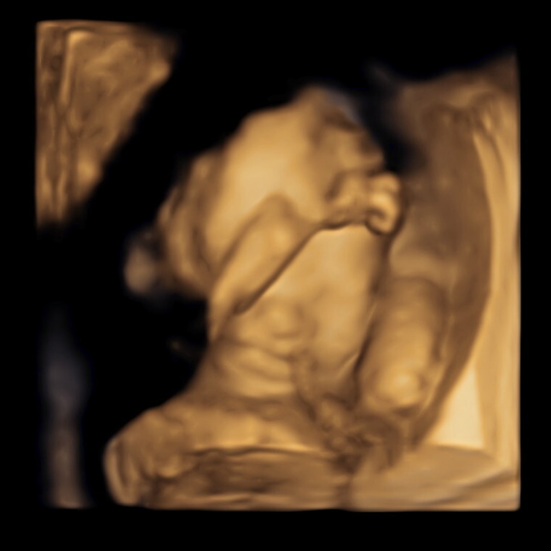 Photo shared by Julissa for their Babylist baby registry.