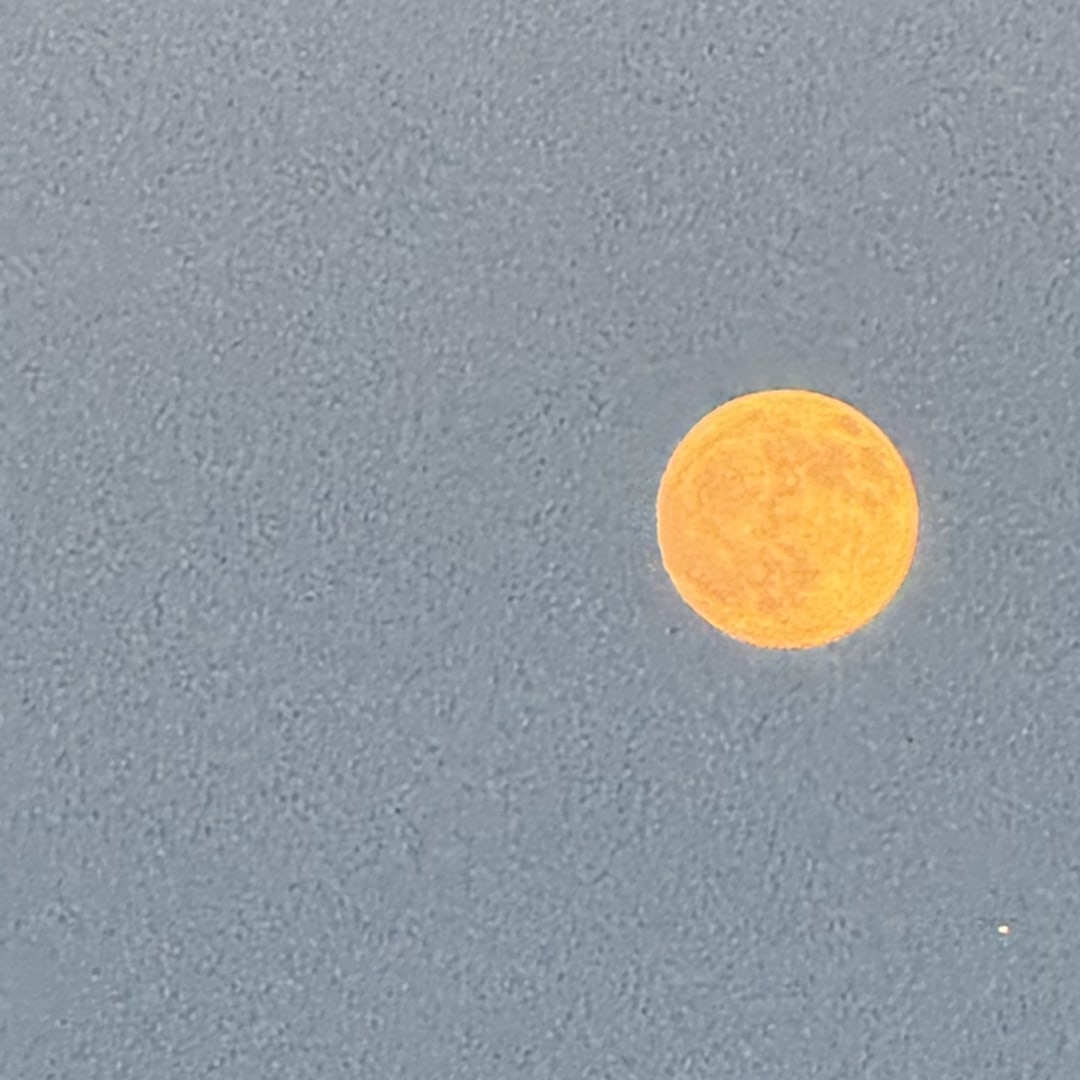 Photo shared by Edith for their Babylist baby registry.