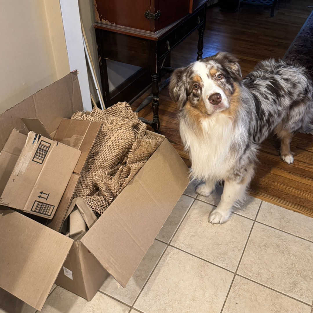 Photo shared by Emily for their Babylist baby registry.