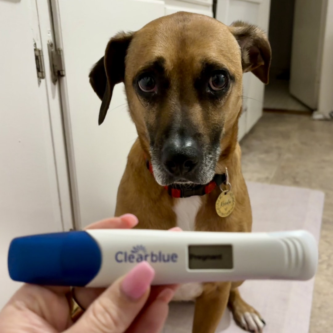 Photo shared by Monique for their Babylist baby registry.