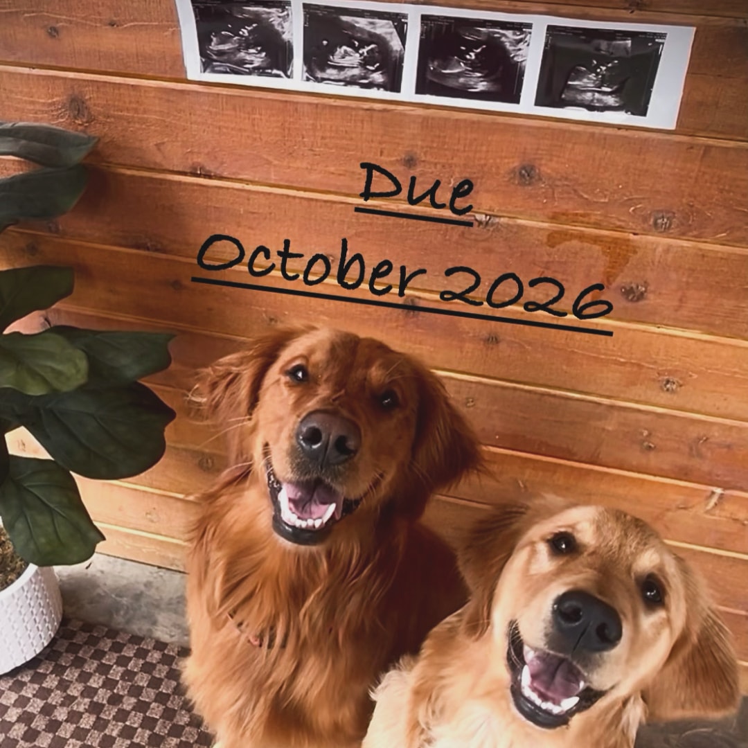 Photo shared by Rachael for their Babylist baby registry.