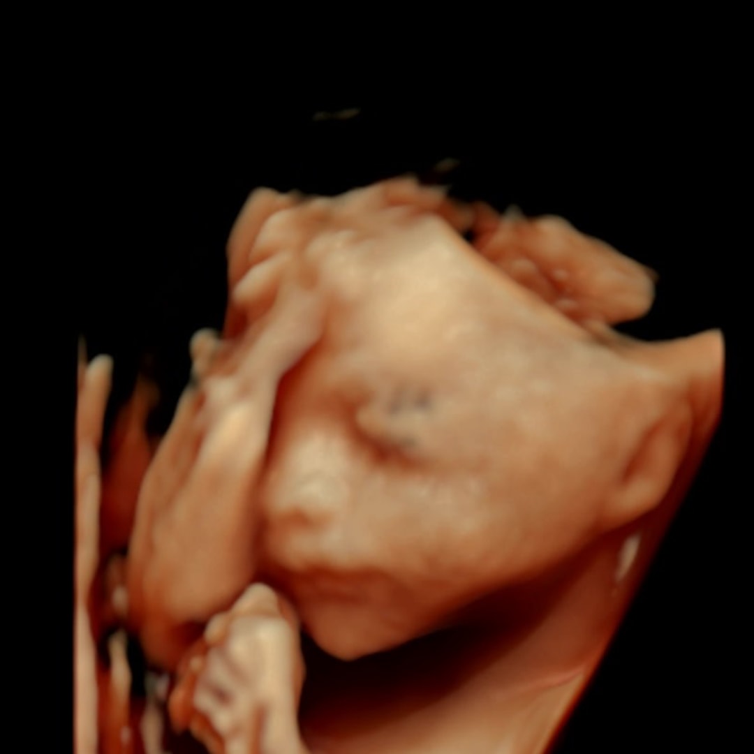 Photo shared by Ashley for their Babylist baby registry.
