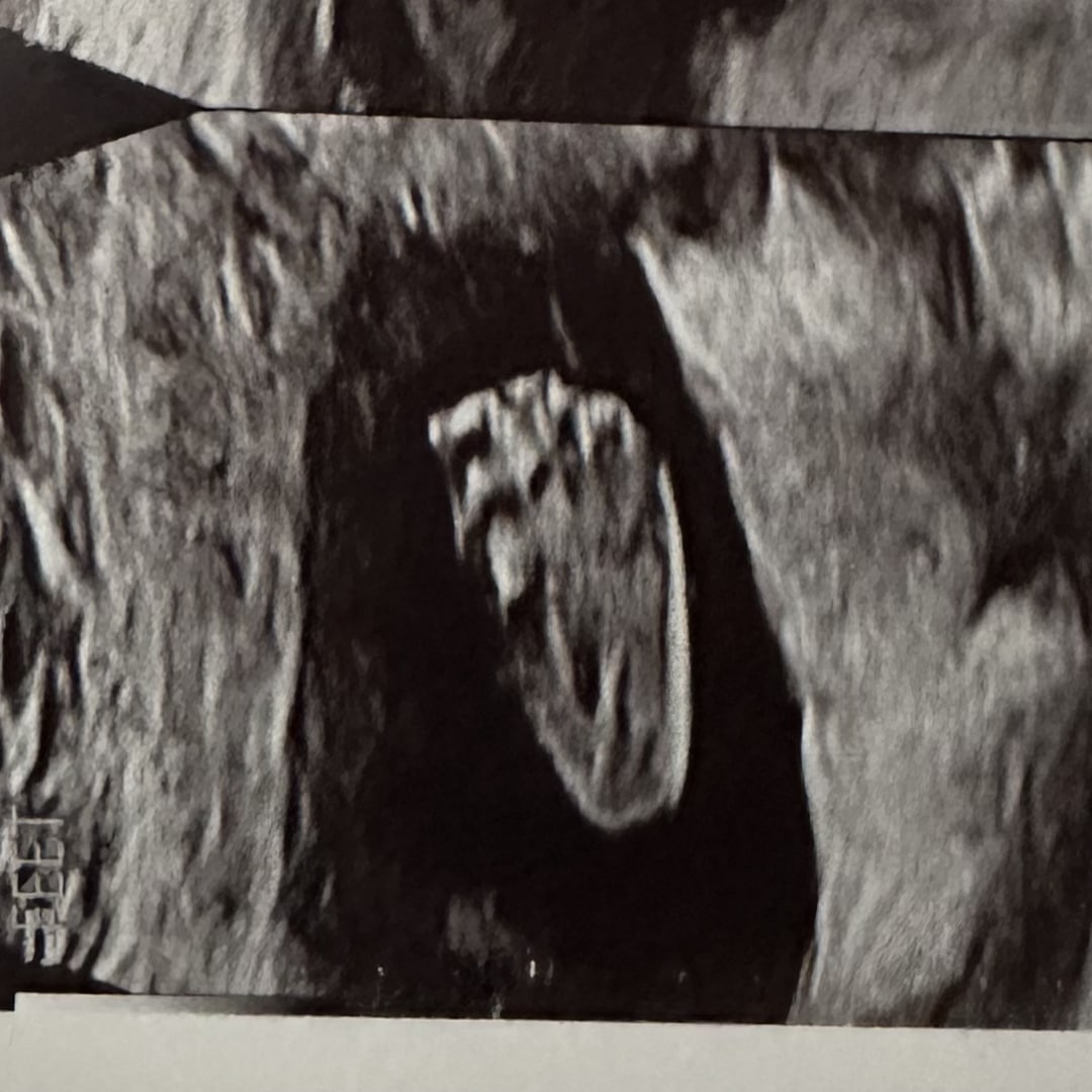 Photo shared by Katie for their Babylist baby registry.