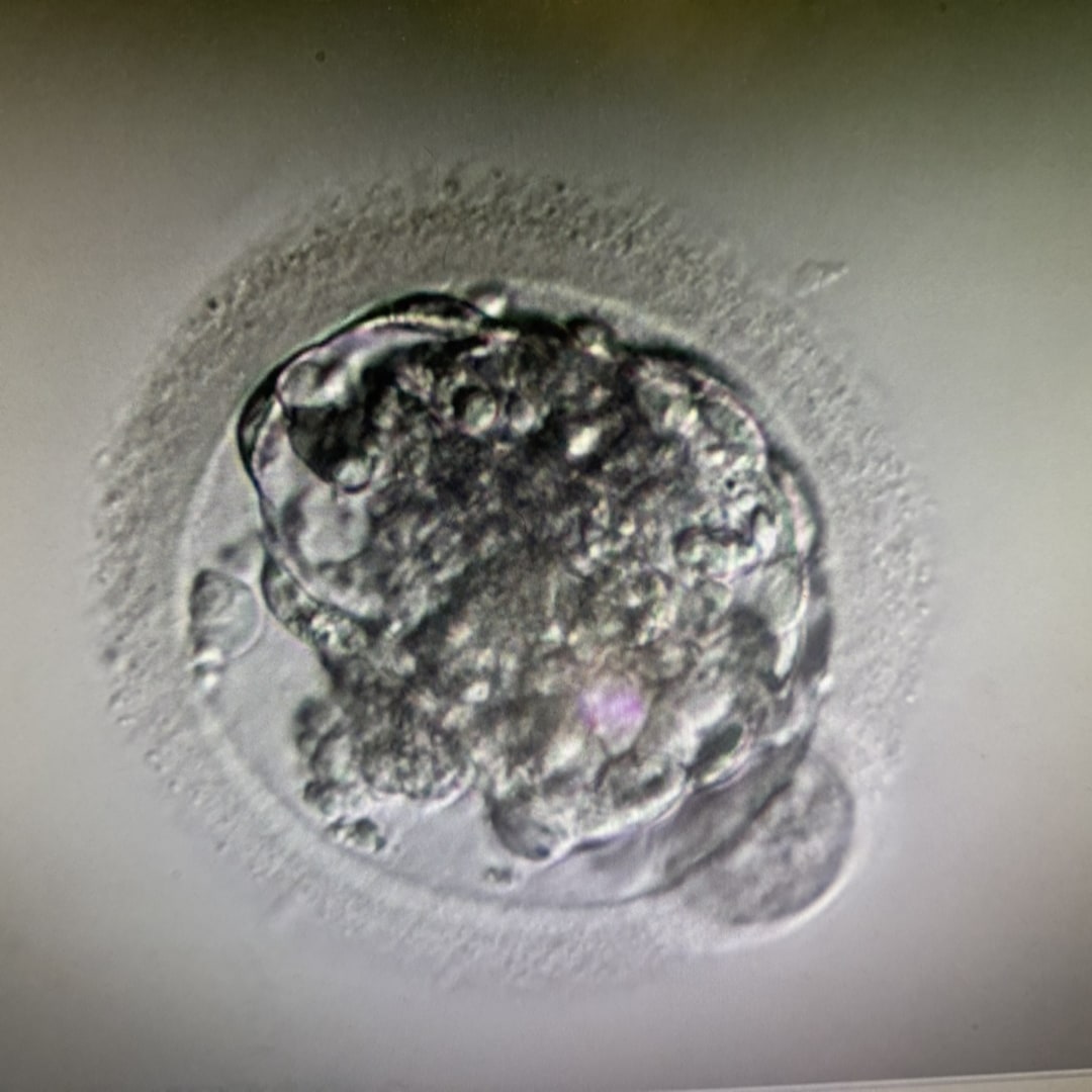 Photo shared by Malarie for their Babylist baby registry.