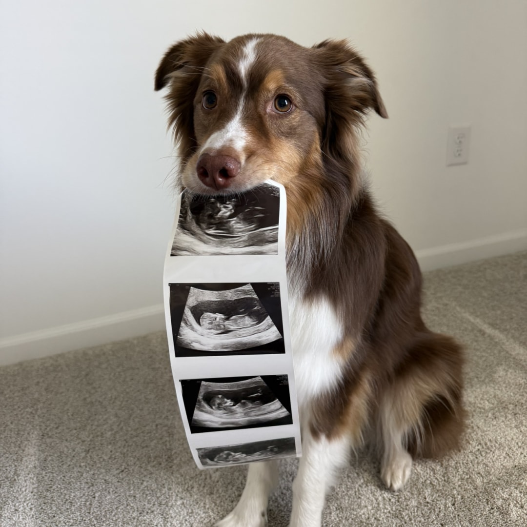 Photo shared by Samantha for their Babylist baby registry.