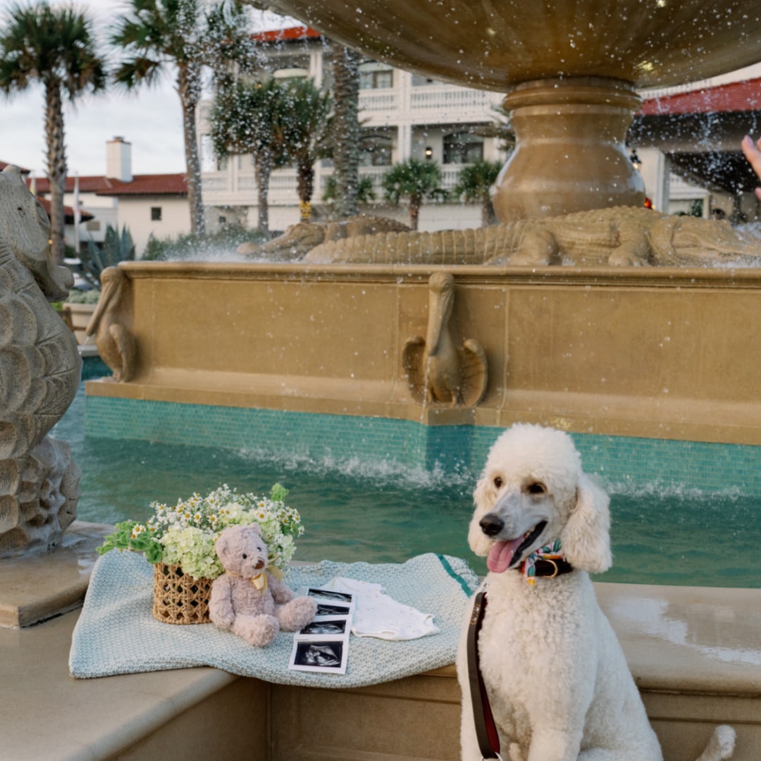 Photo shared by Jennison for their Babylist baby registry.