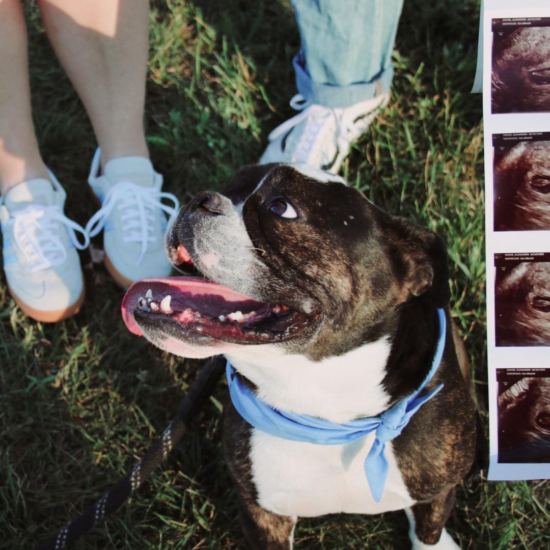 Photo shared by Allie for their Babylist baby registry.