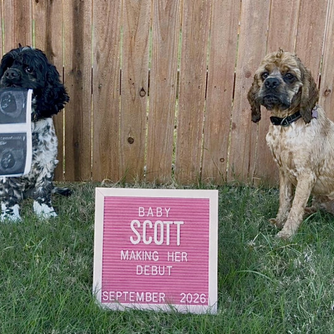 Photo shared by Addie for their Babylist baby registry.