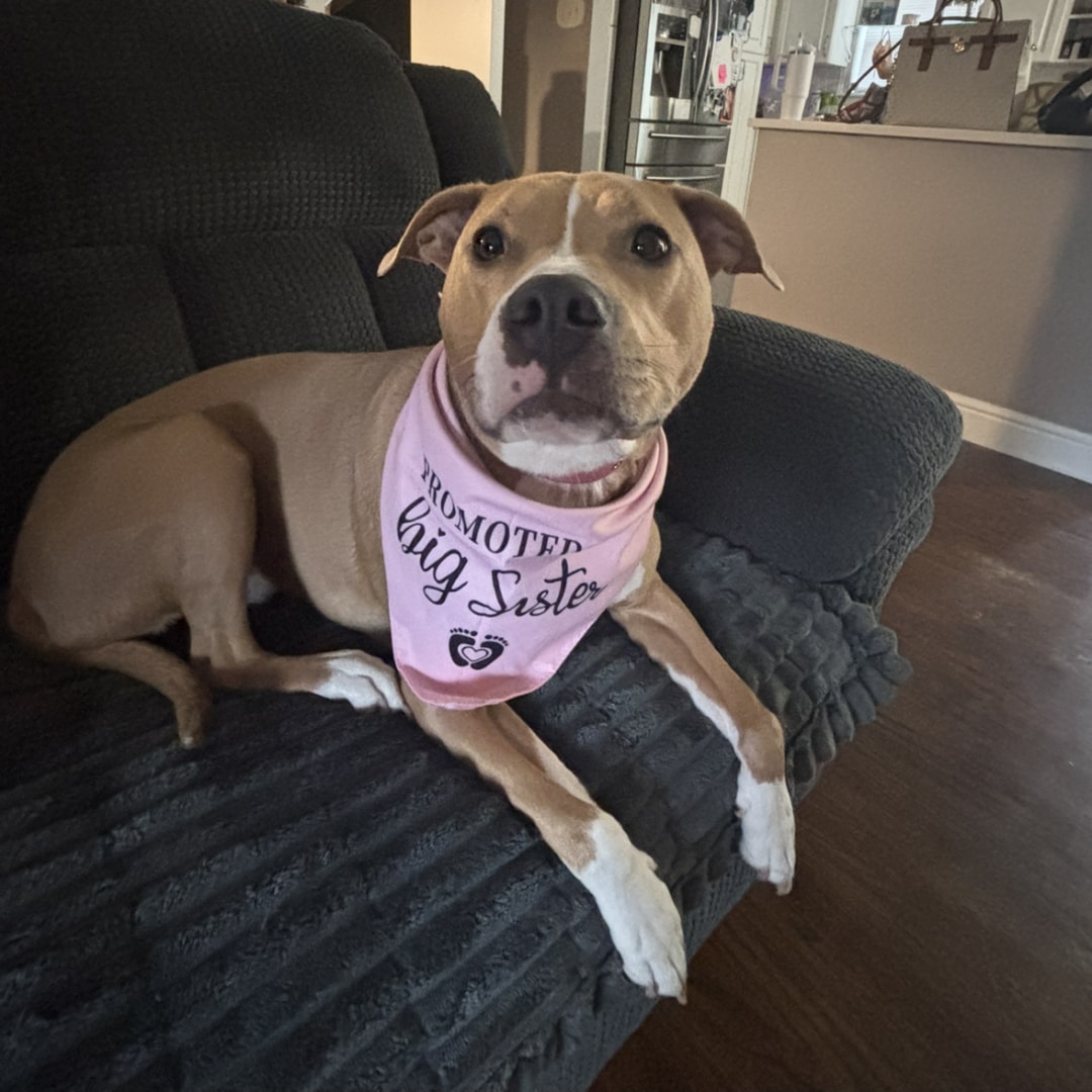 Photo shared by Amanda for their Babylist baby registry.