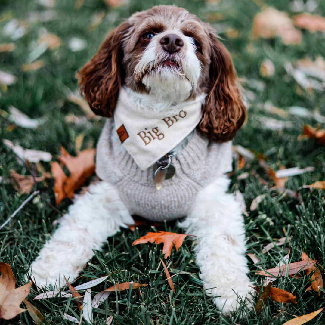 Photo shared by Carly for their Babylist baby registry.