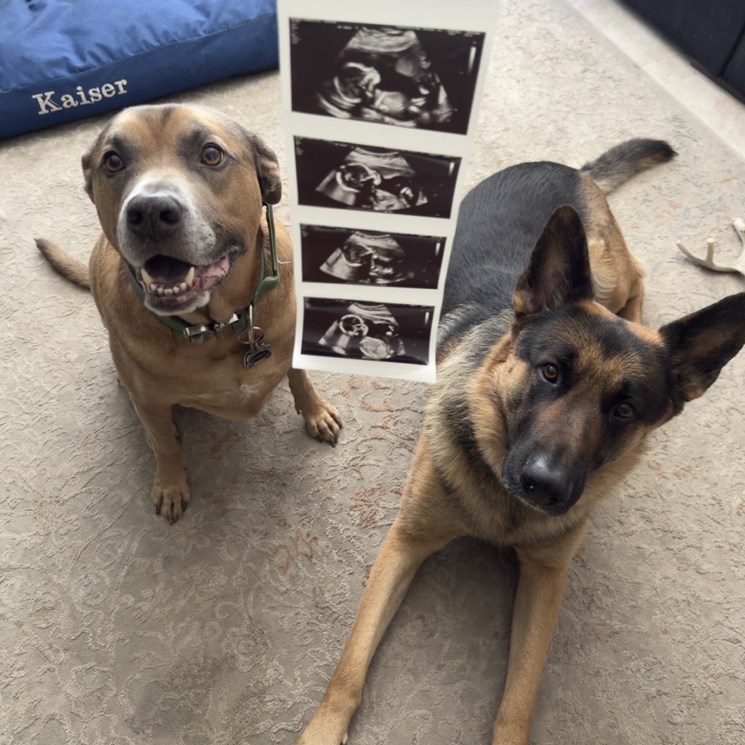 Photo shared by Kimberly for their Babylist baby registry.