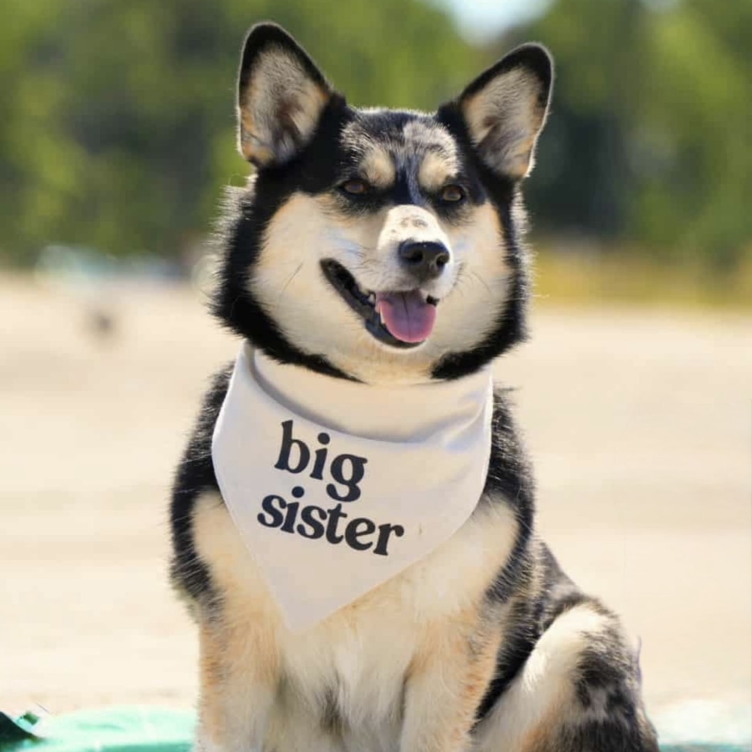 Photo shared by Alice for their Babylist baby registry.