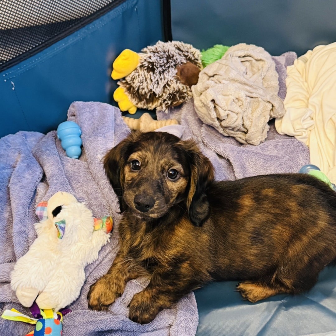 Photo shared by Jessie for their Babylist baby registry.