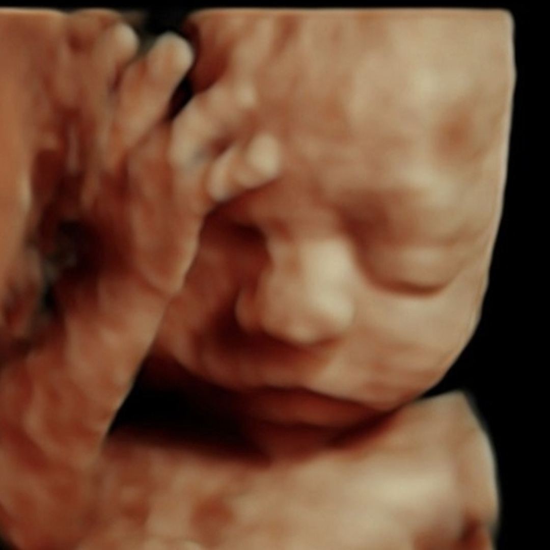 Photo shared by Angella for their Babylist baby registry.