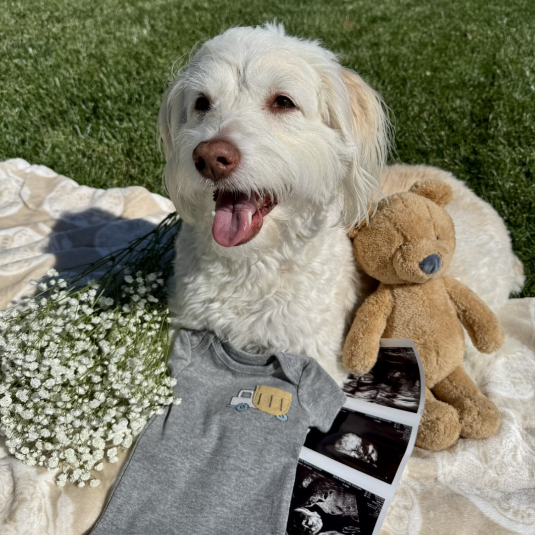 Photo shared by Meredith for their Babylist baby registry.