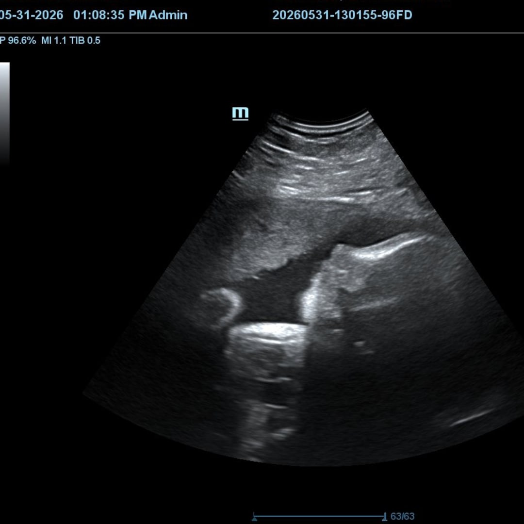 Photo shared by Sarah-Kathryn for their Babylist baby registry.