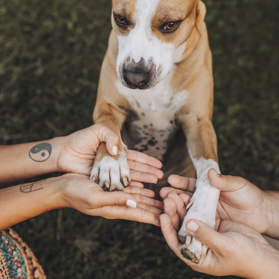 Photo shared by Gaby for their Babylist baby registry.