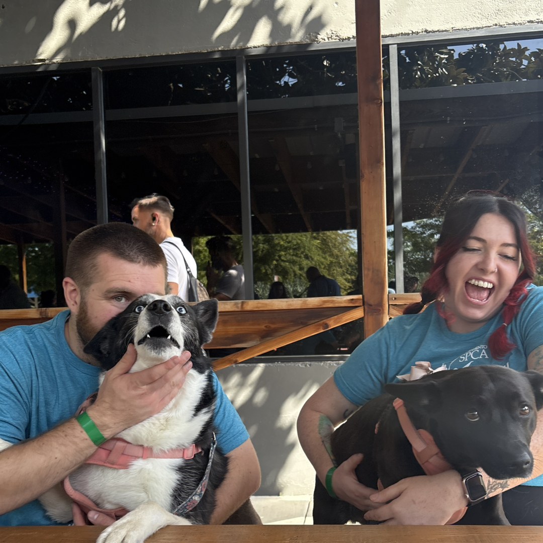 Photo shared by Katelyn for their Babylist baby registry.