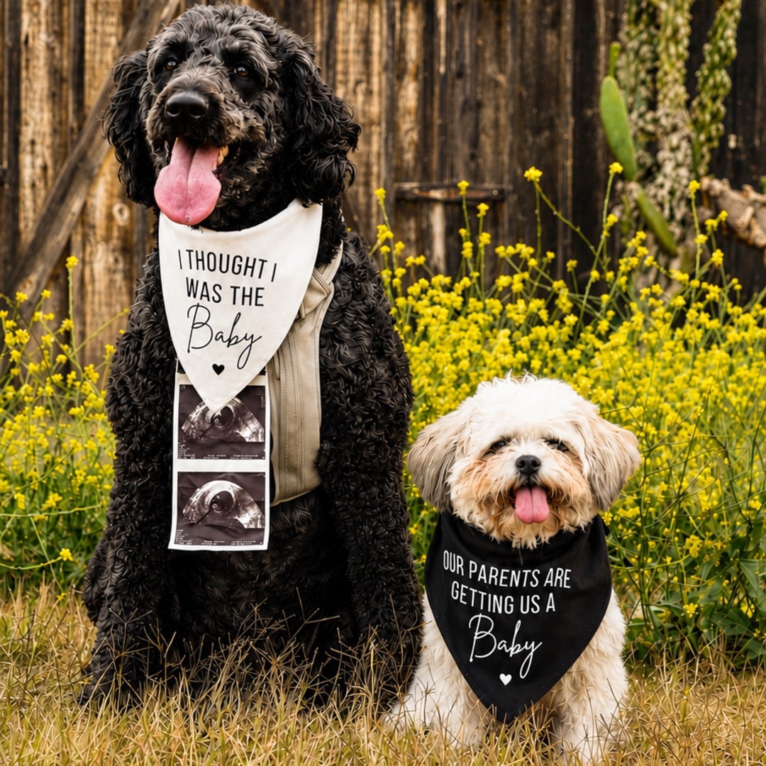 Photo shared by McKenzie for their Babylist baby registry.