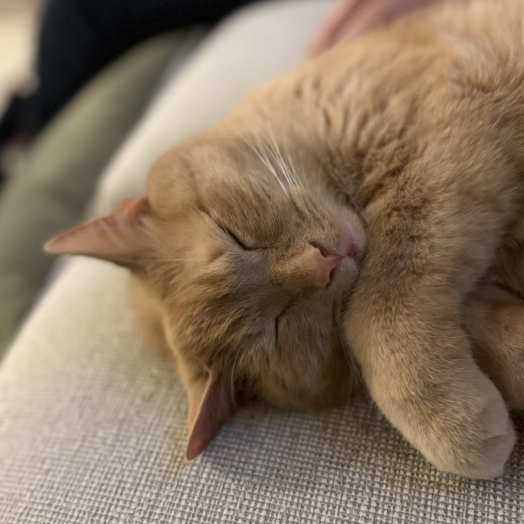 Photo shared by Katie for their Babylist baby registry.