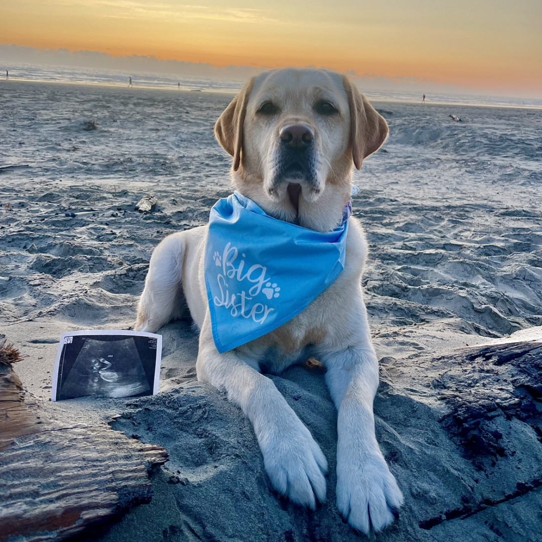 Photo shared by Lily for their Babylist baby registry.