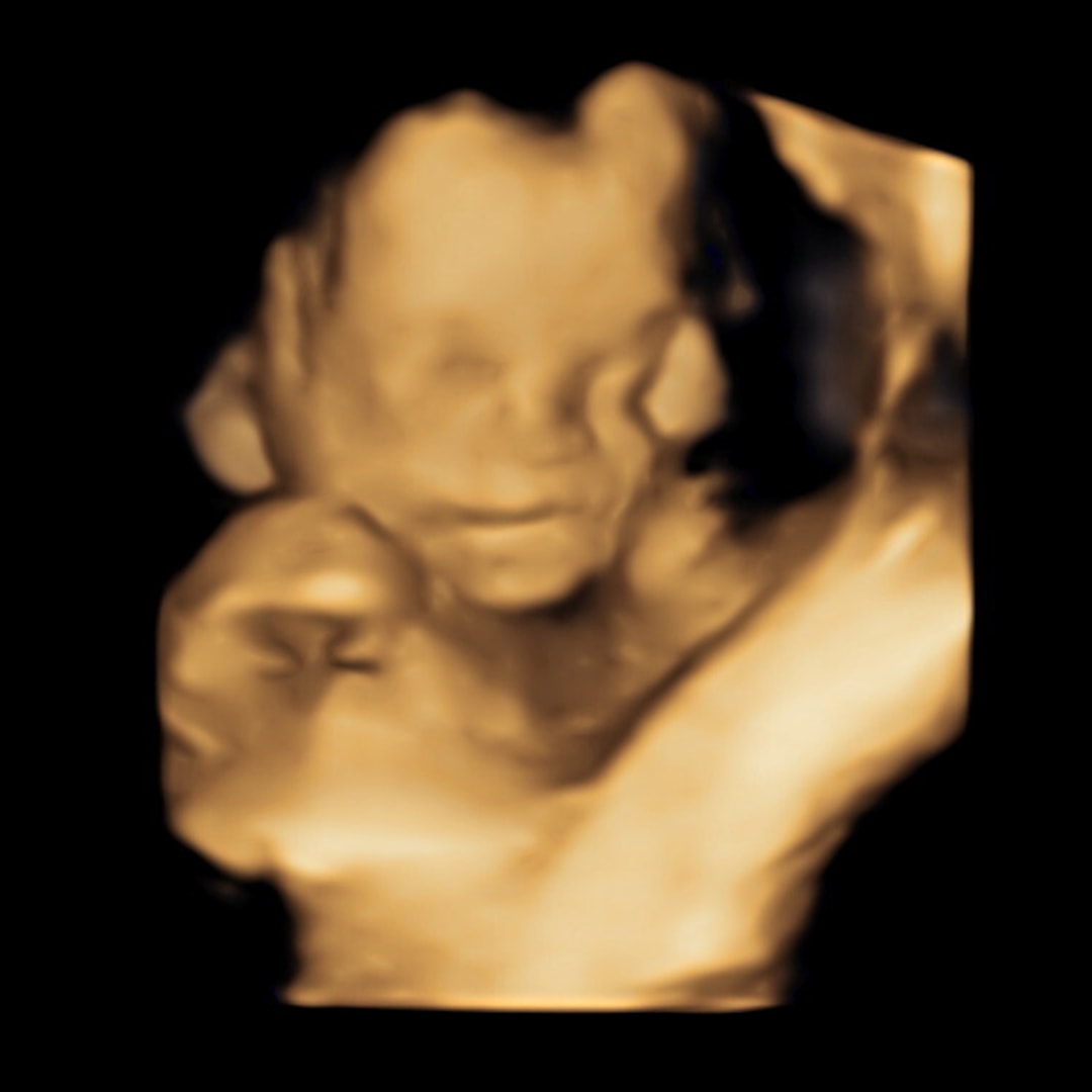 Photo shared by Julissa for their Babylist baby registry.