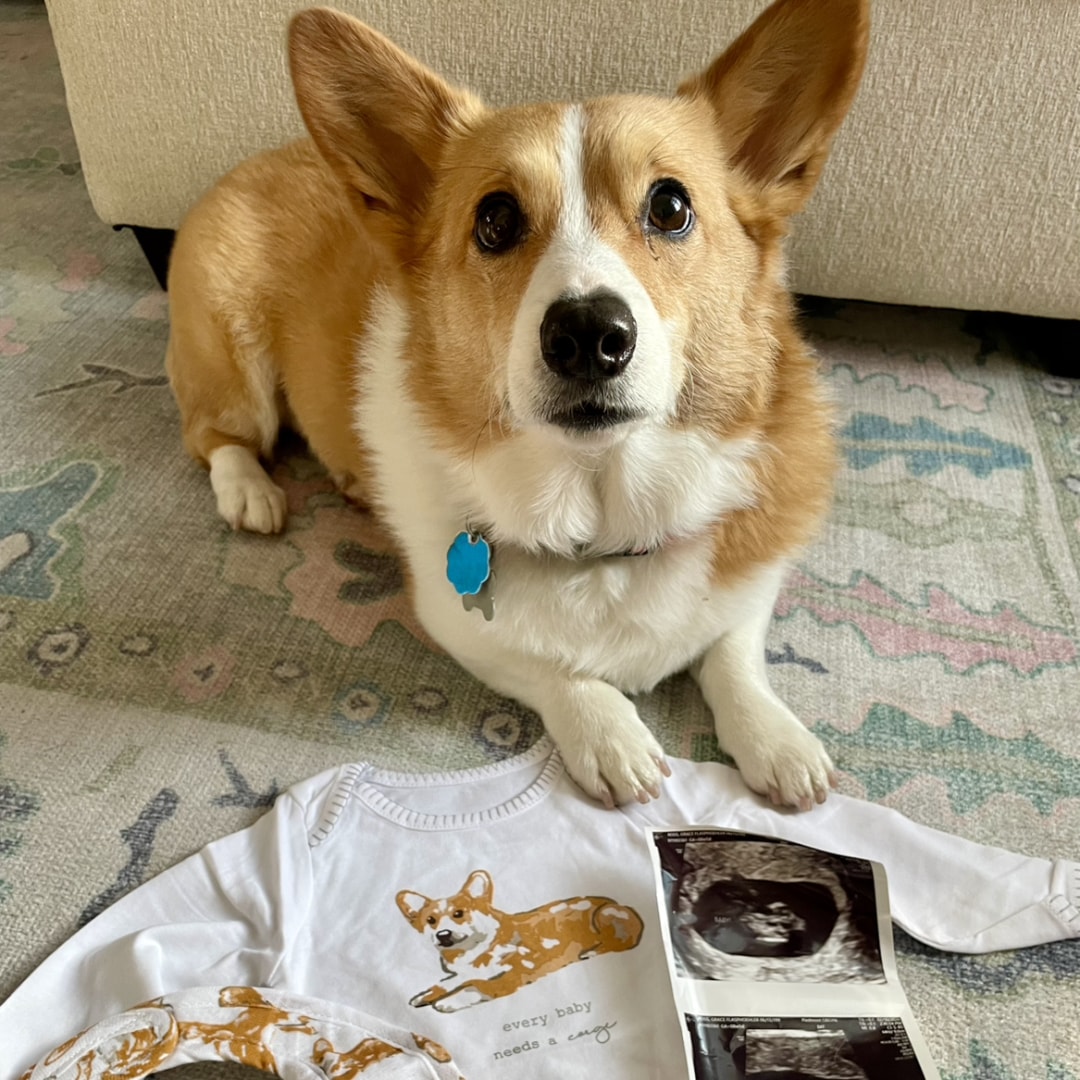 Photo shared by Gracie for their Babylist baby registry.