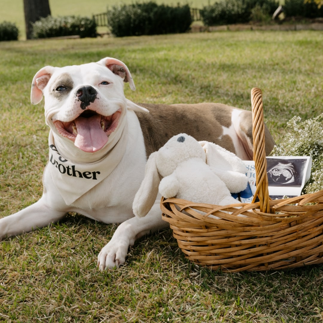 Photo shared by Kayla for their Babylist baby registry.