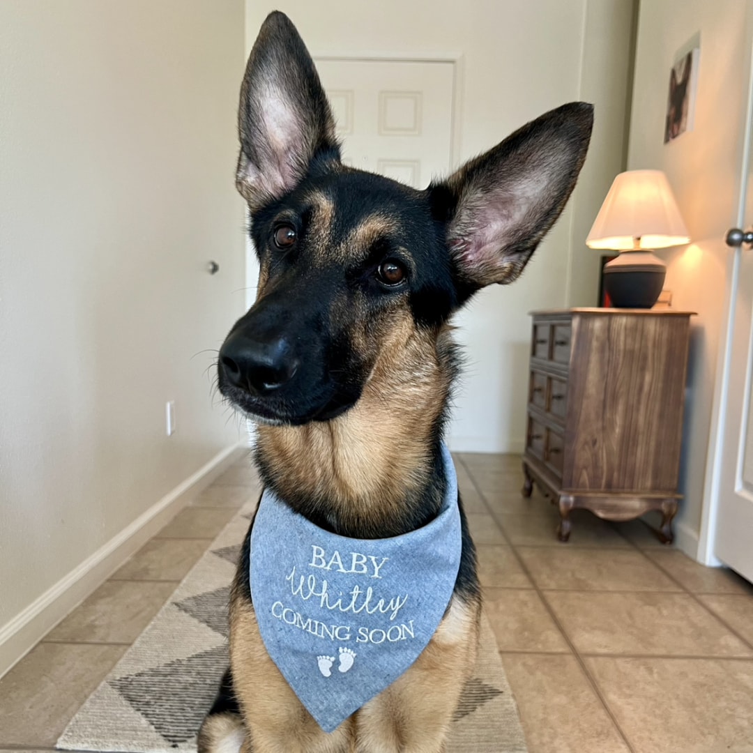 Photo shared by Martha for their Babylist baby registry.