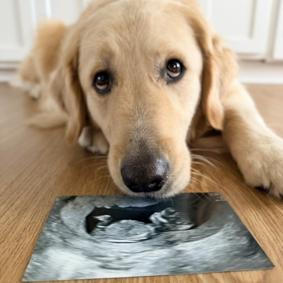 Photo shared by Steph for their Babylist baby registry.