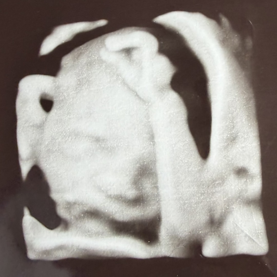 Photo shared by McKenzie for their Babylist baby registry.