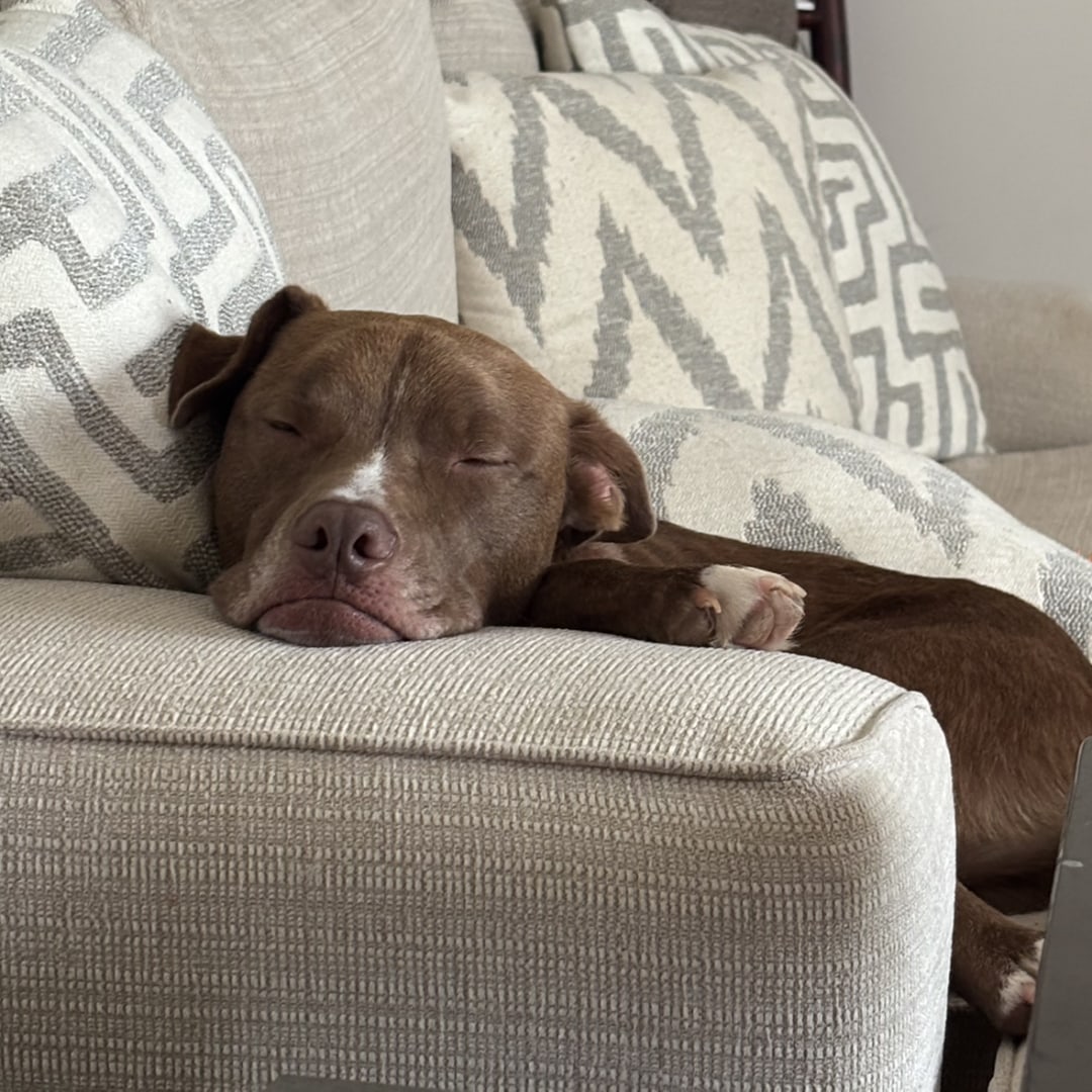 Photo shared by Caroline for their Babylist baby registry.
