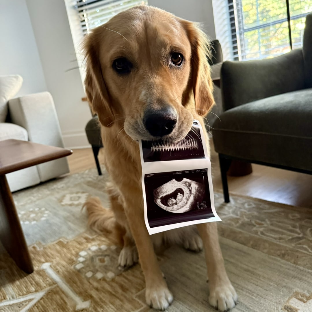 Photo shared by Kate for their Babylist baby registry.