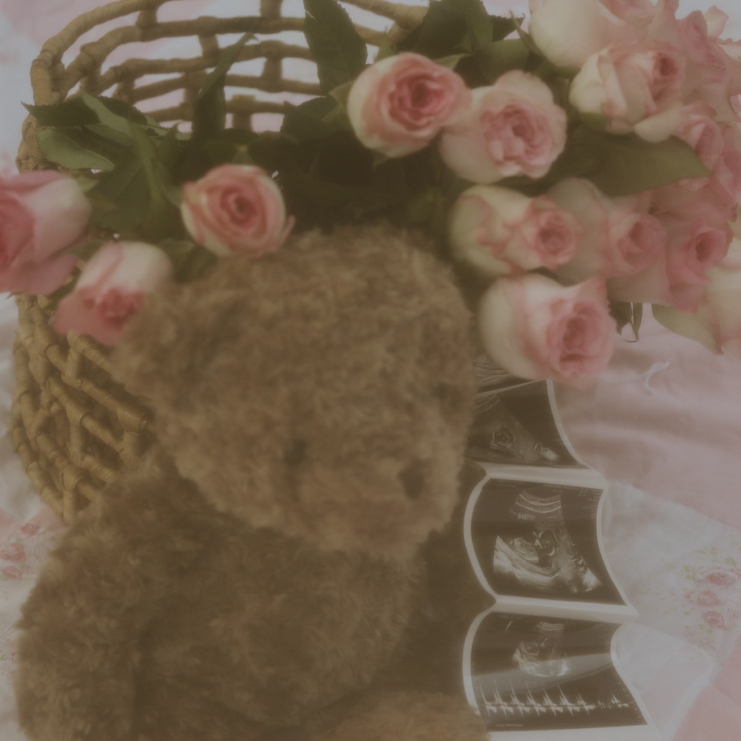 Photo shared by Haley for their Babylist baby registry.
