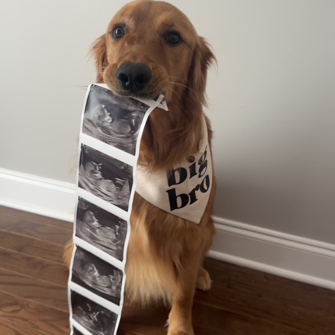 Photo shared by Gabbi for their Babylist baby registry.