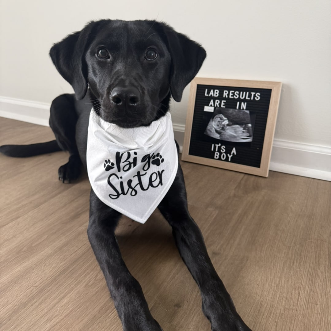 Photo shared by Jaida for their Babylist baby registry.