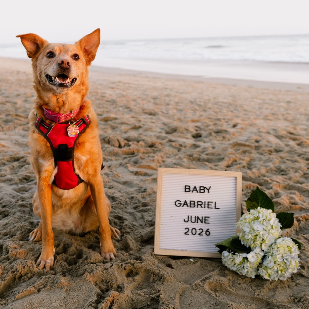 Photo shared by Marlyn for their Babylist baby registry.