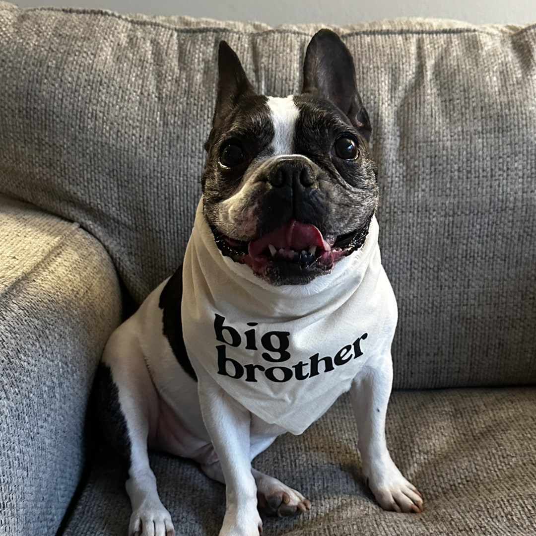 Photo shared by Rachel for their Babylist baby registry.