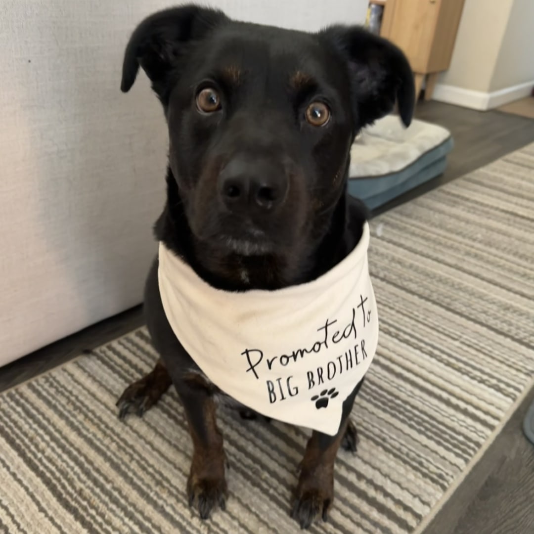 Photo shared by Kim for their Babylist baby registry.