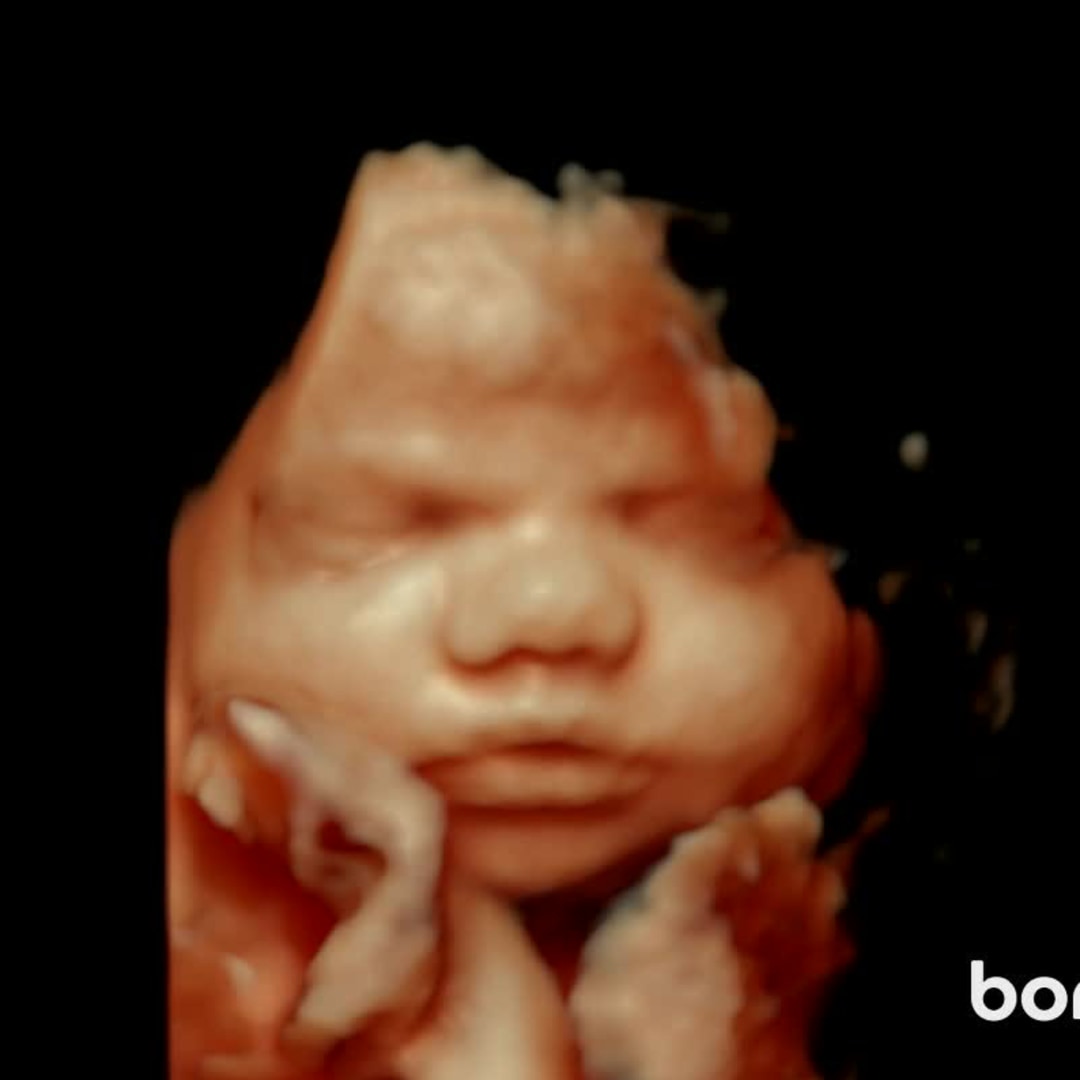 Photo shared by Courtney for their Babylist baby registry.