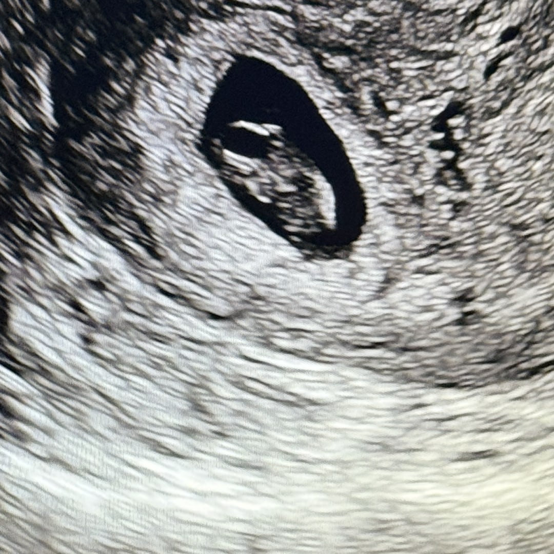 Photo shared by Bridget for their Babylist baby registry.