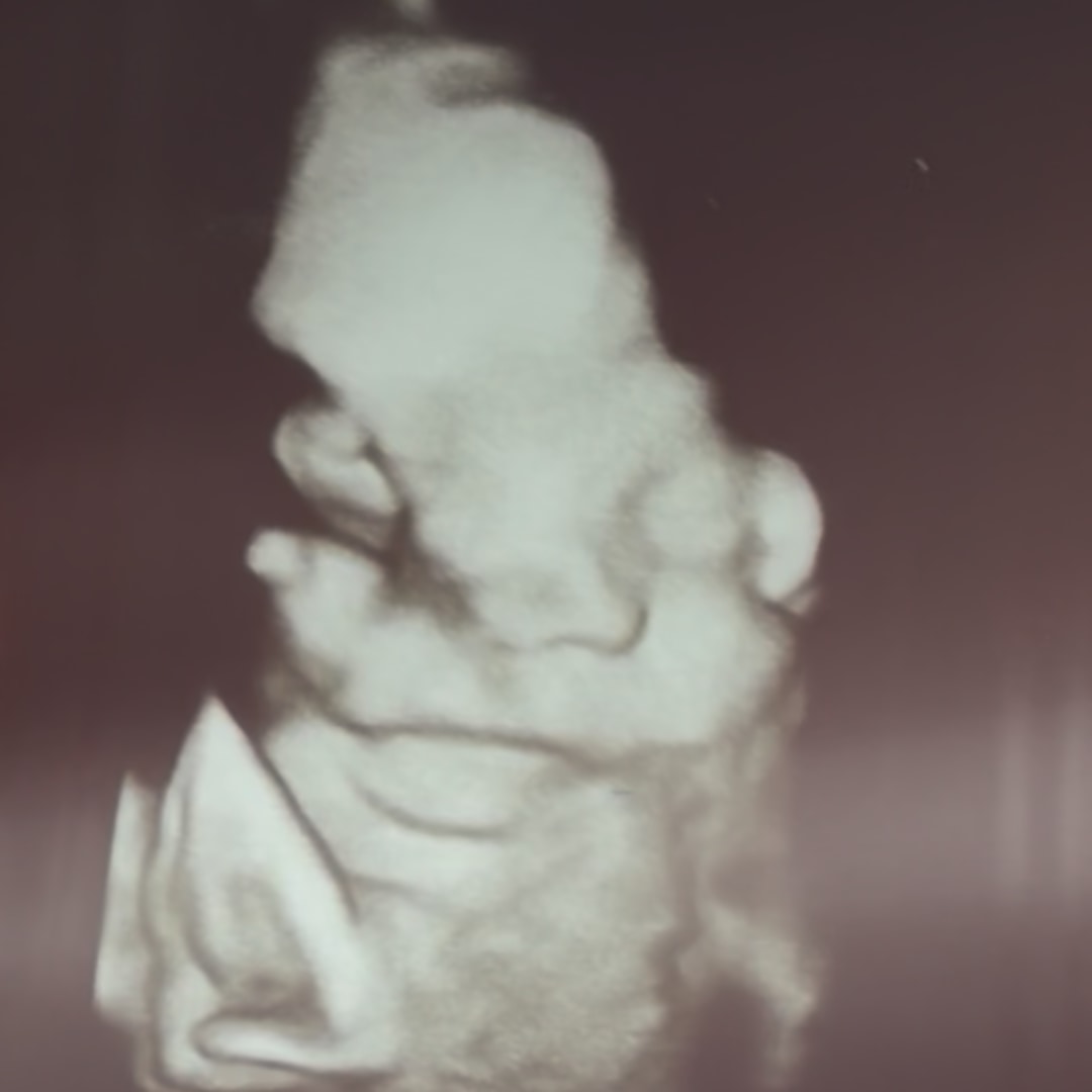 Photo shared by Bryanna for their Babylist baby registry.