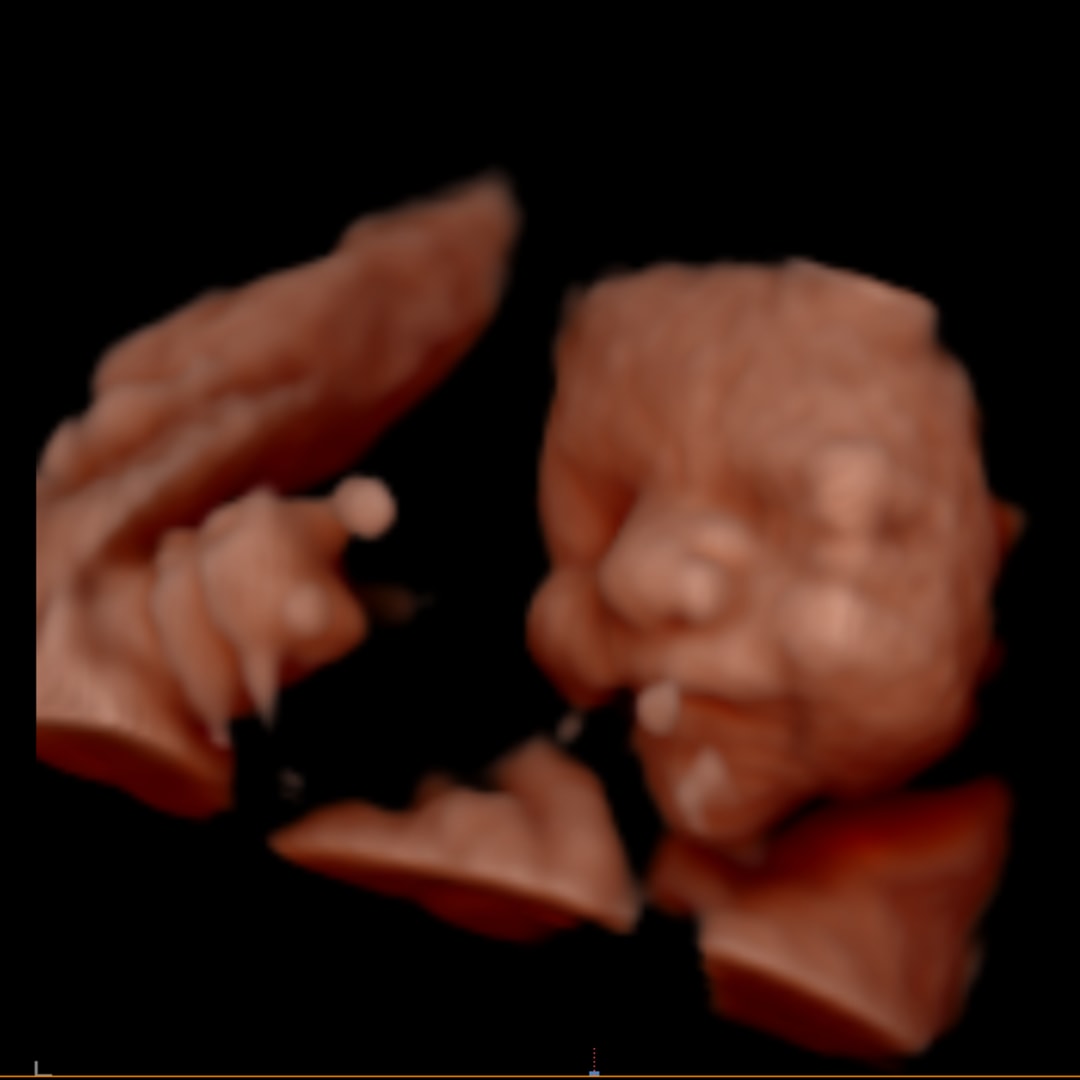 Photo shared by Samantha for their Babylist baby registry.