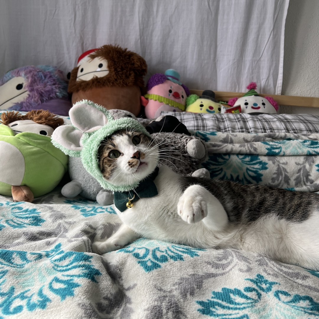 Photo shared by Priscilla for their Babylist baby registry.