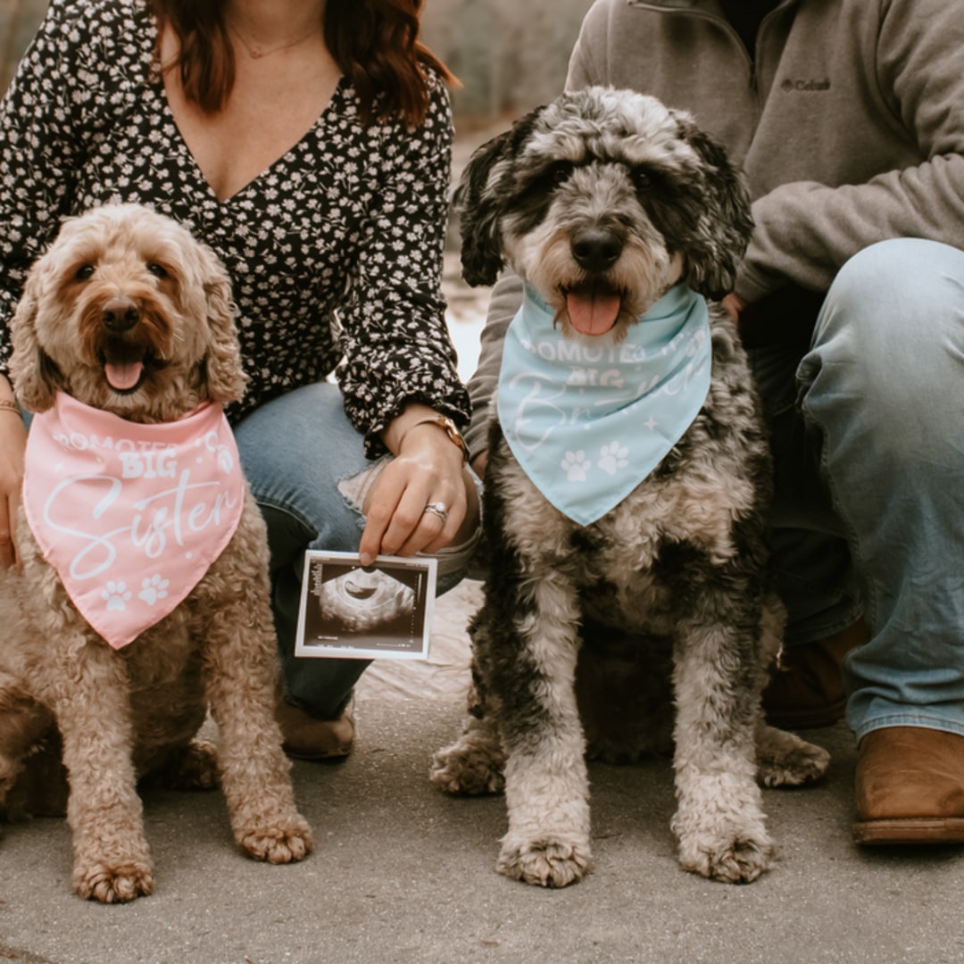 Photo shared by Alex for their Babylist baby registry.