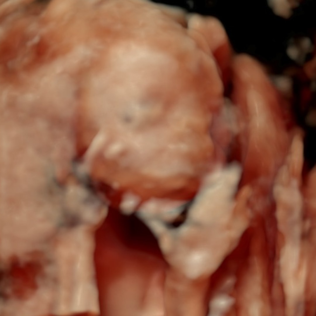 Photo shared by Georgia for their Babylist baby registry.